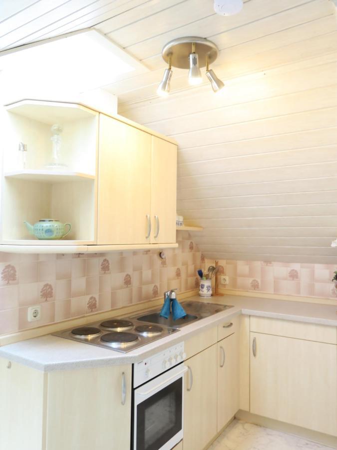 Schone Dachgeschosswohnung In Villa Mit Zentrumsnaher Lage Schleiz Εξωτερικό φωτογραφία